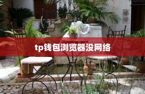 tp钱包浏览器没网络