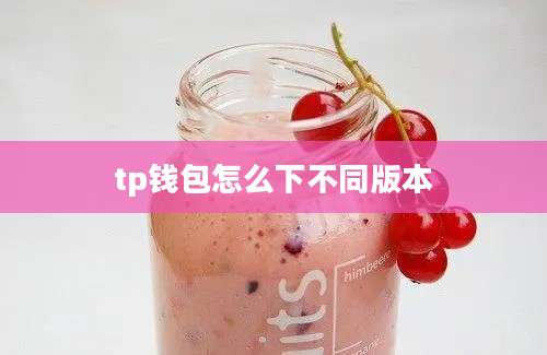 tp钱包怎么下不同版本