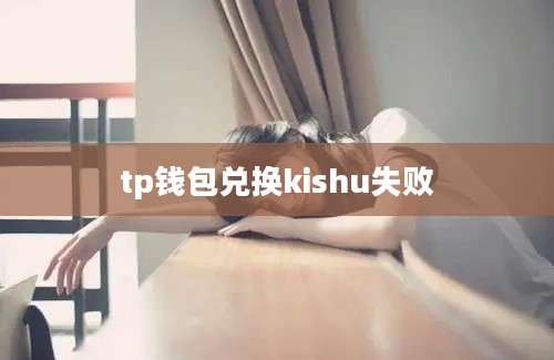 tp钱包兑换kishu失败