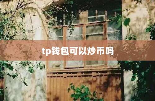 tp钱包可以炒币吗