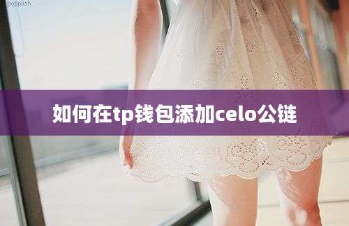 如何在tp钱包添加celo公链