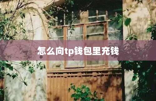 怎么向tp钱包里充钱