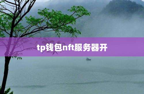 tp钱包nft服务器开