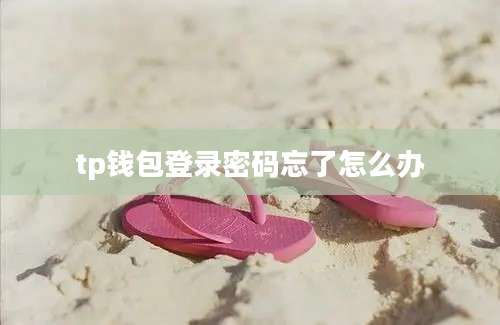 tp钱包登录密码忘了怎么办