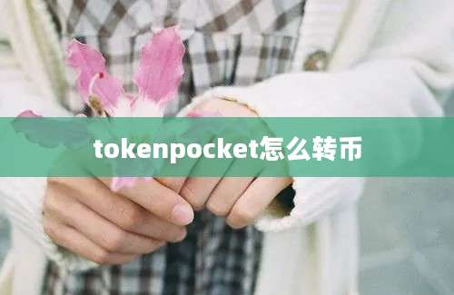 tokenpocket怎么转币