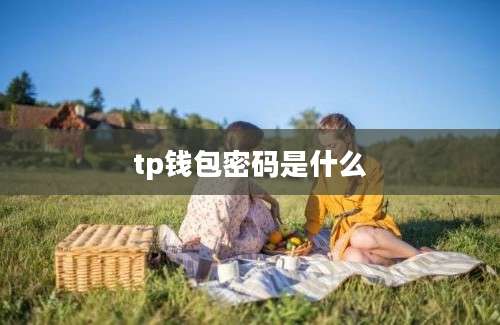 tp钱包密码是什么
