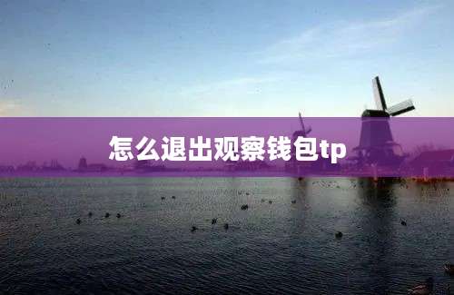 怎么退出观察钱包tp