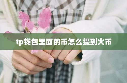 tp钱包里面的币怎么提到火币