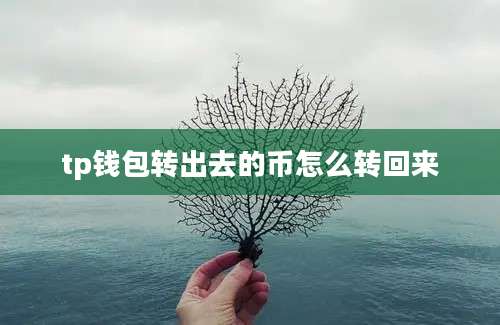 tp钱包转出去的币怎么转回来