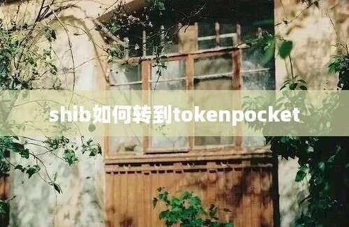 shib如何转到tokenpocket