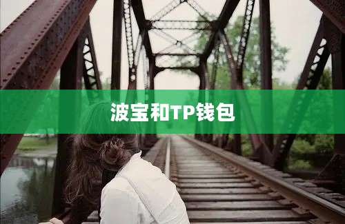 波宝和TP钱包