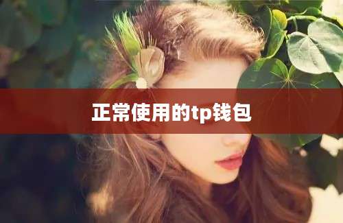 正常使用的tp钱包