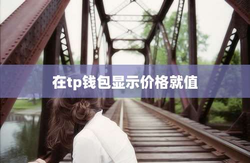 在tp钱包显示价格就值