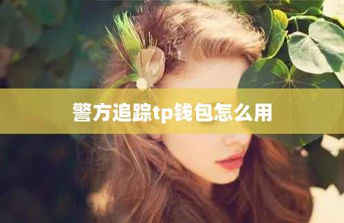 警方追踪tp钱包怎么用