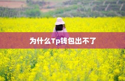 为什么Tp钱包出不了