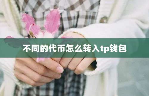 不同的代币怎么转入tp钱包