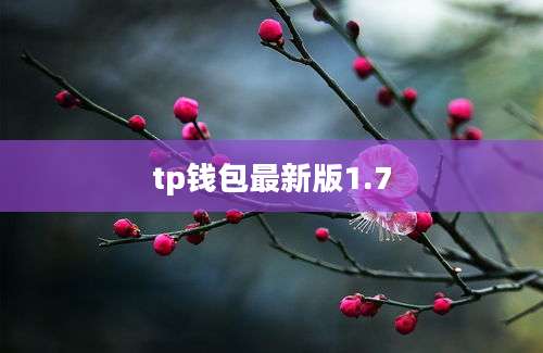 tp钱包最新版1.7