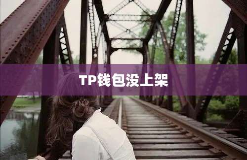 TP钱包没上架