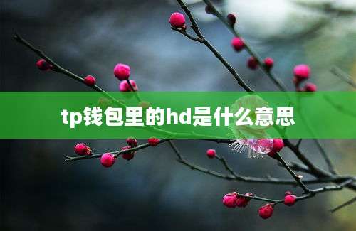 tp钱包里的hd是什么意思