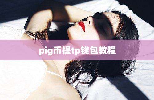 pig币提tp钱包教程