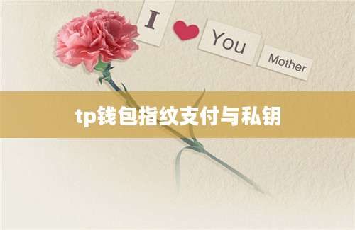 tp钱包指纹支付与私钥