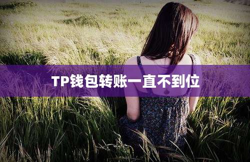 TP钱包转账一直不到位