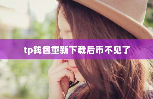 tp钱包重新下载后币不见了