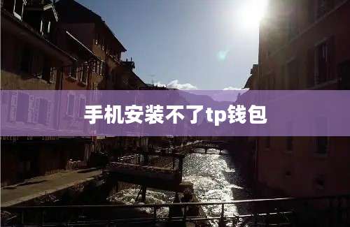 手机安装不了tp钱包