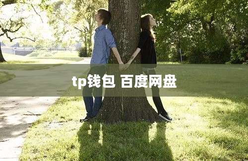 tp钱包 百度网盘