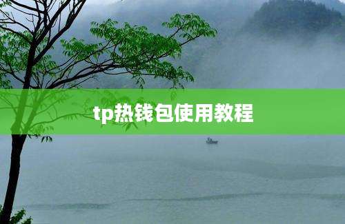 tp热钱包使用教程