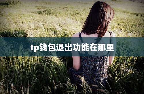 tp钱包退出功能在那里