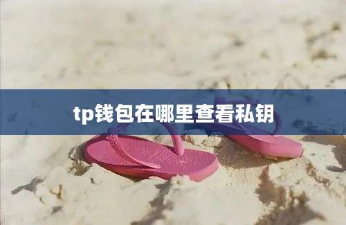 tp钱包在哪里查看私钥