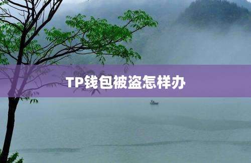 TP钱包被盗怎样办