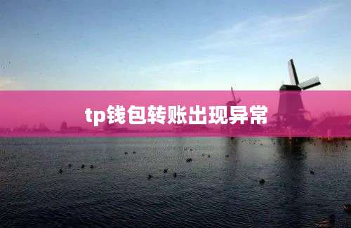 tp钱包转账出现异常