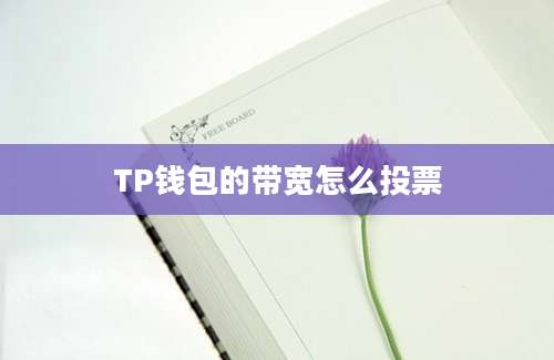 TP钱包的带宽怎么投票