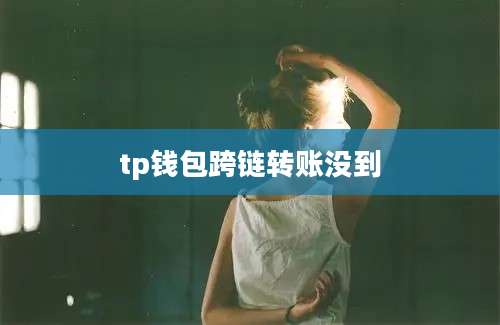 tp钱包跨链转账没到