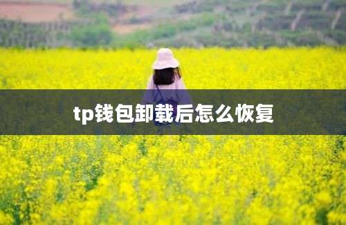 tp钱包卸载后怎么恢复