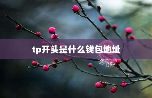 tp开头是什么钱包地址