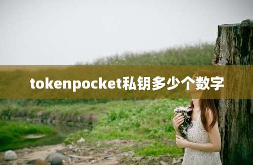 tokenpocket私钥多少个数字