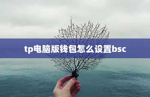 tp电脑版钱包怎么设置bsc