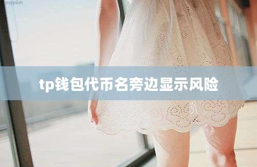 tp钱包代币名旁边显示风险