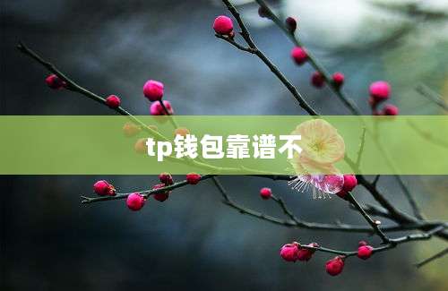 tp钱包靠谱不