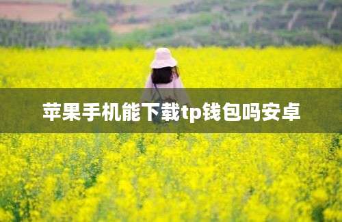 苹果手机能下载tp钱包吗安卓