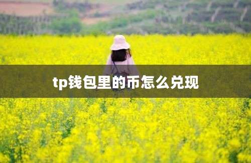 tp钱包里的币怎么兑现
