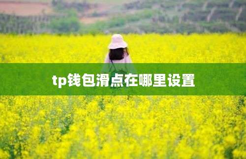 tp钱包滑点在哪里设置
