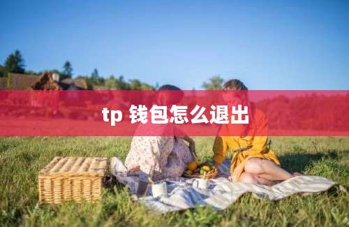 tp 钱包怎么退出