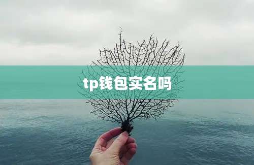 tp钱包实名吗