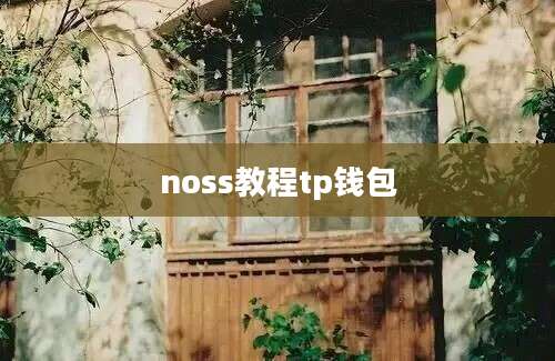 noss教程tp钱包