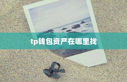 tp钱包资产在哪里找