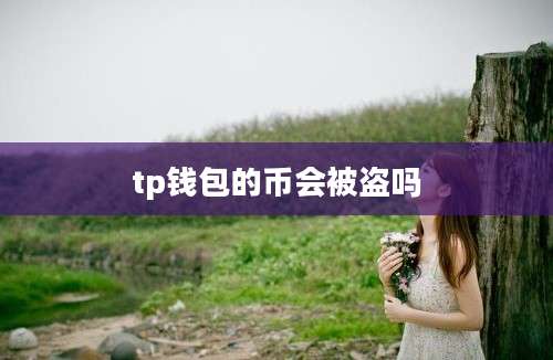 tp钱包的币会被盗吗
